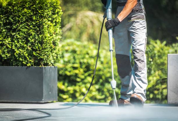 Best Pre-Holiday Cleaning  in Haledon, NJ