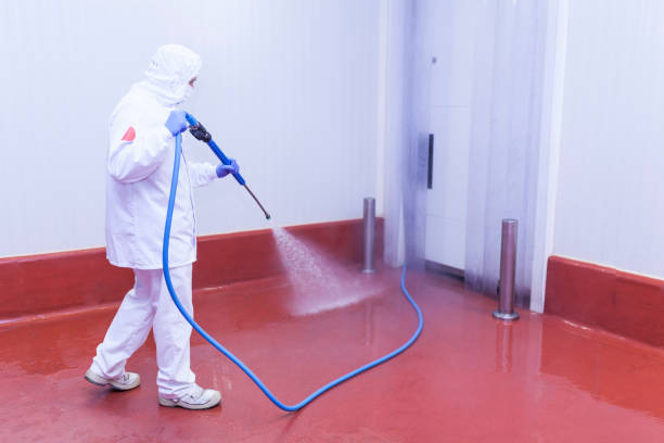 Best Patio and Deck Pressure Washing  in Haledon, NJ