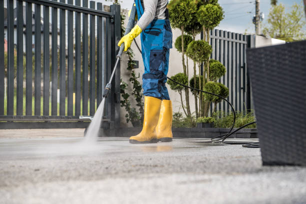 Best Driveway Pressure Washing  in Haledon, NJ